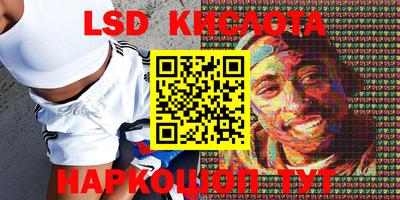 ПСИЛОЦИБИНОВЫЕ ГРИБЫ Бердск