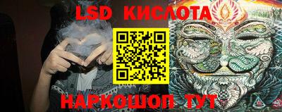 СК Боровичи