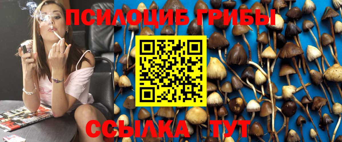 Владимир  Галлюциногенные грибы мухоморы  Псилоцибиновые грибы мухоморы  Вход с VPN 