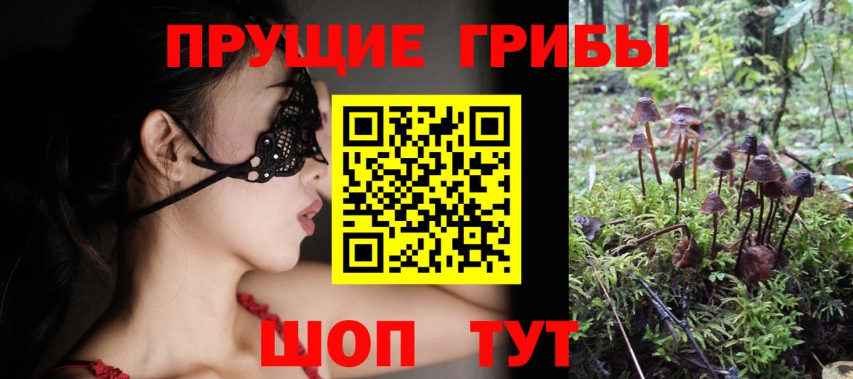 Галлюциногенные грибы GOLDEN TEACHER Владимир