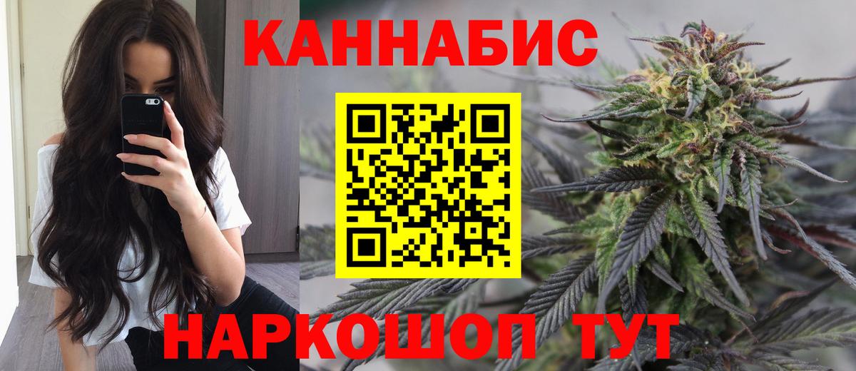 Канабис сатива Владимир